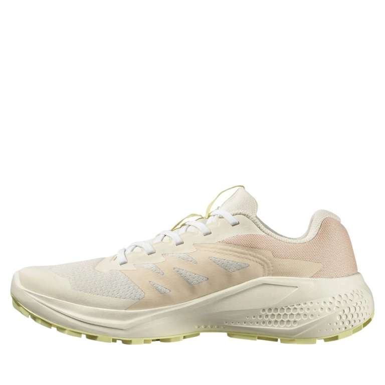 Кросівки Salomon Alphaglide W - бежеві