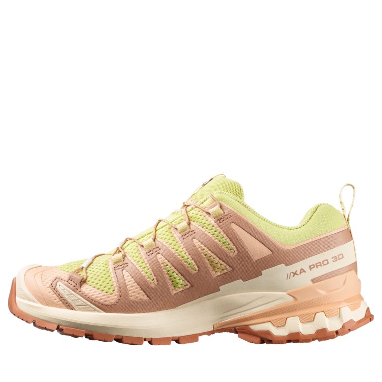 Кросівки Salomon Xa Pro 3D V9 W - бежеві