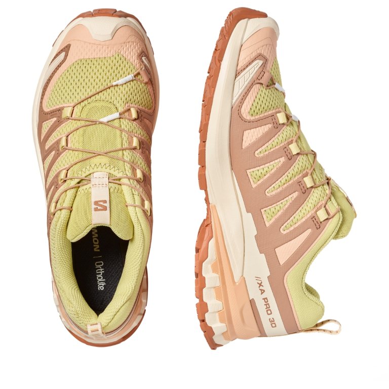 Кросівки Salomon Xa Pro 3D V9 W - бежеві
