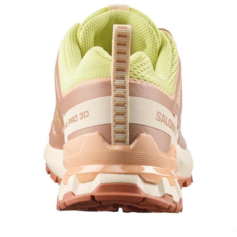 Кросівки Salomon Xa Pro 3D V9 W - бежеві