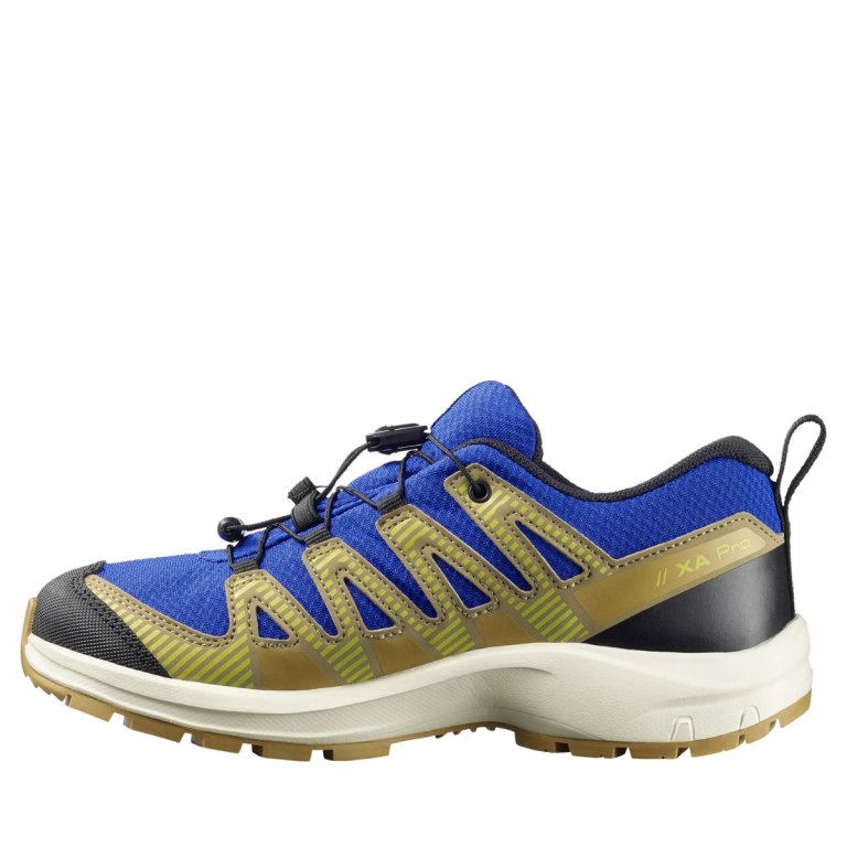 Кросівки Salomon Xa Pro V8 WP J - сині