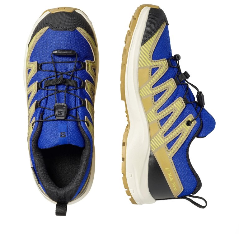 Кросівки Salomon Xa Pro V8 WP J - сині