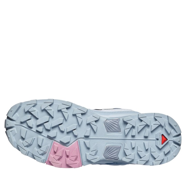 Взуття Salomon X Ultra 5 W - синьо/сіре