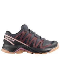 Черевики Salomon X-Adventure Recon Gtx W - фіолетові