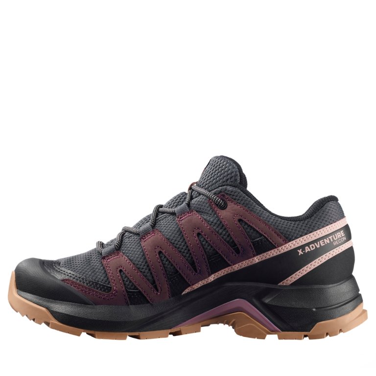 Черевики Salomon X-Adventure Recon Gtx W - фіолетові