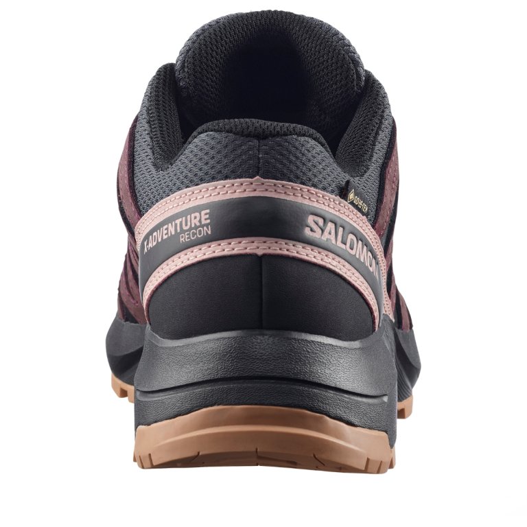Черевики Salomon X-Adventure Recon Gtx W - фіолетові