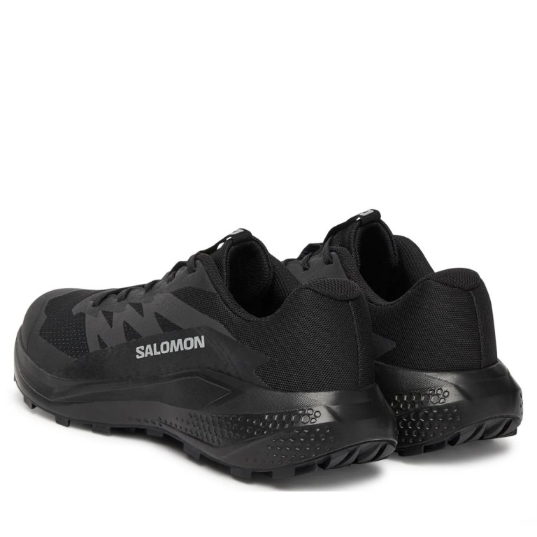 Кросівки Salomon Alphaglide W - чорні