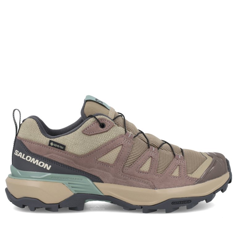 Salomon X Ultra 360 Leather GTX W - коричнева