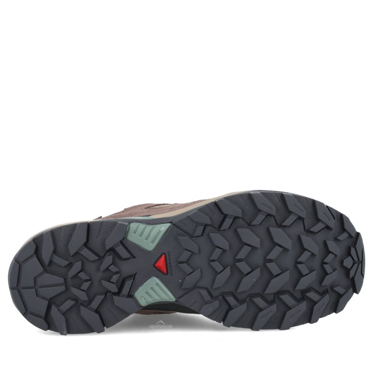 Salomon X Ultra 360 Leather GTX W - коричнева