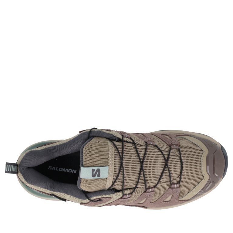 Salomon X Ultra 360 Leather GTX W - коричнева