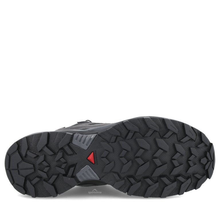 Взуття Salomon X Ultra 360 Ltr GTX W - чорний/синій