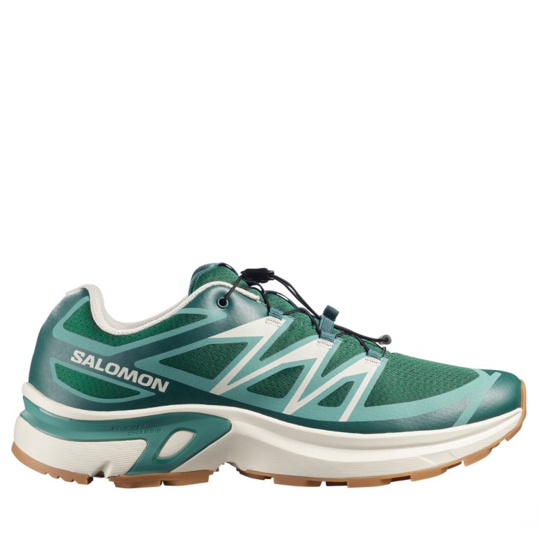Взуття Salomon XT-Evr M - зелене