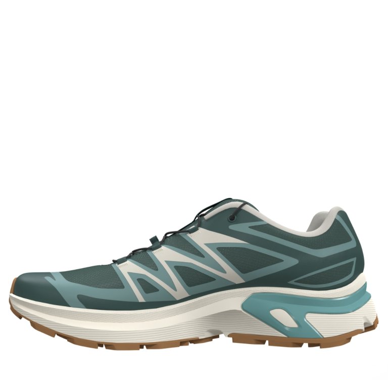 Взуття Salomon XT-Evr M - зелене