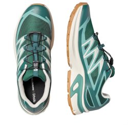 Взуття Salomon XT-Evr M - зелене