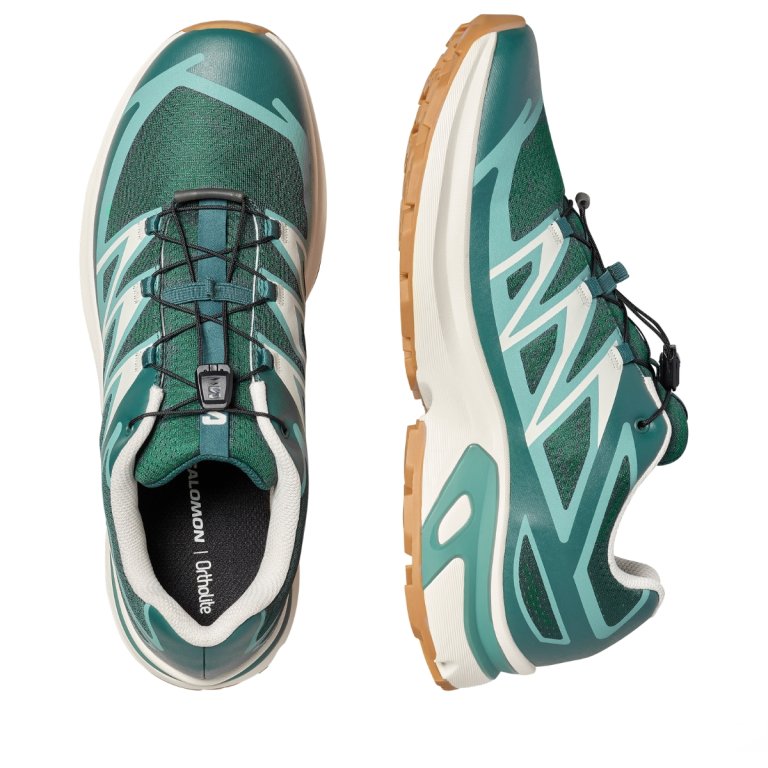 Взуття Salomon XT-Evr M - зелене