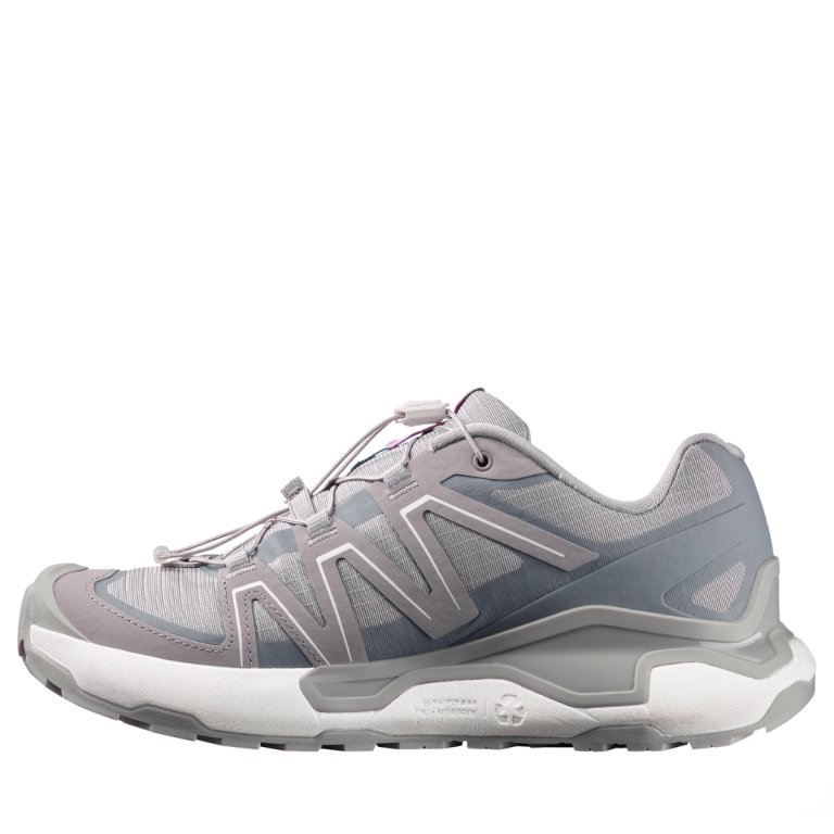 Взуття Salomon XC Roam W - сіре