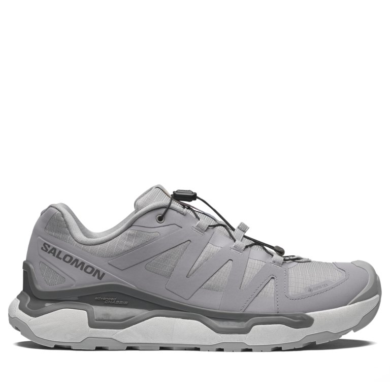 Взуття Salomon XC Roam Gtx M - сіре