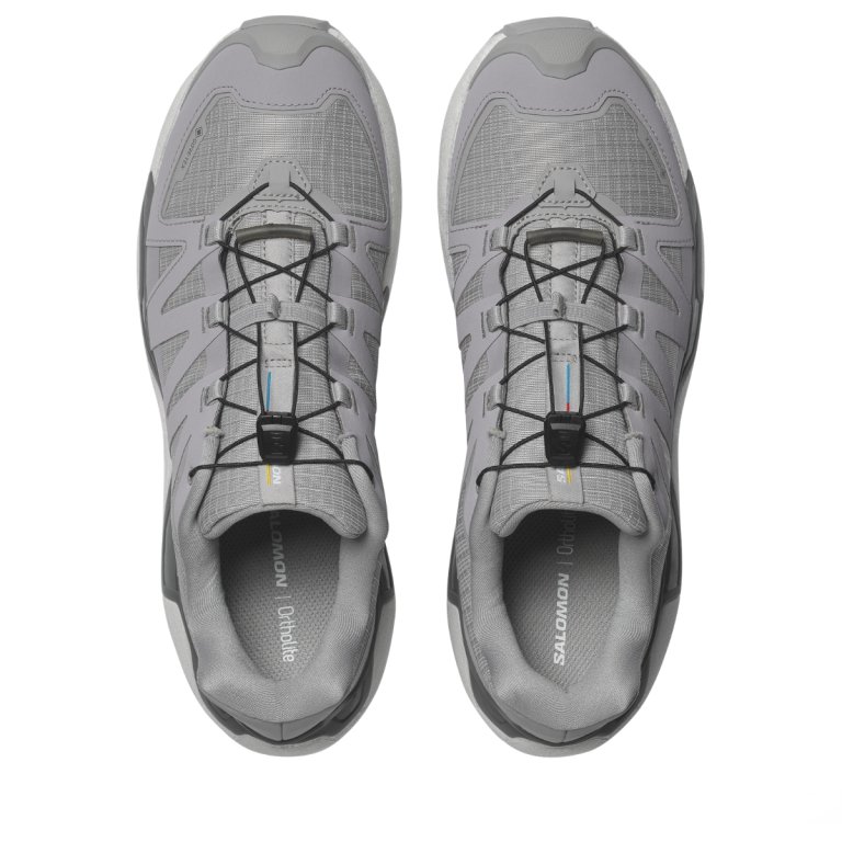 Взуття Salomon XC Roam Gtx M - сіре