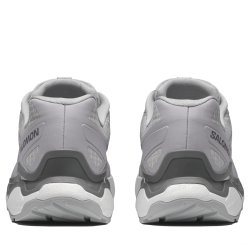 Взуття Salomon XC Roam Gtx M - сіре