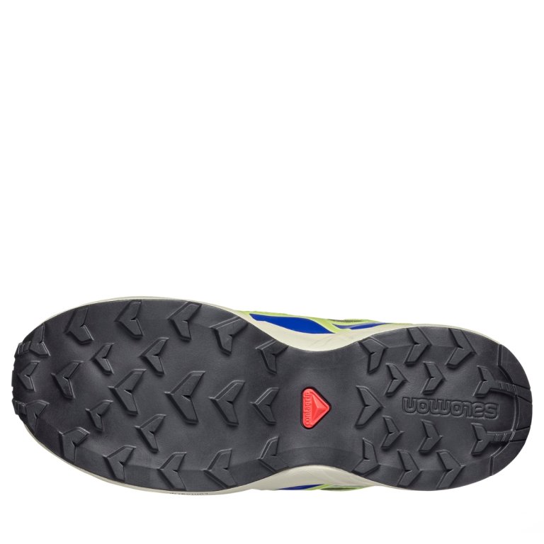 Кросівки Salomon Speedcross Wp J - зелені