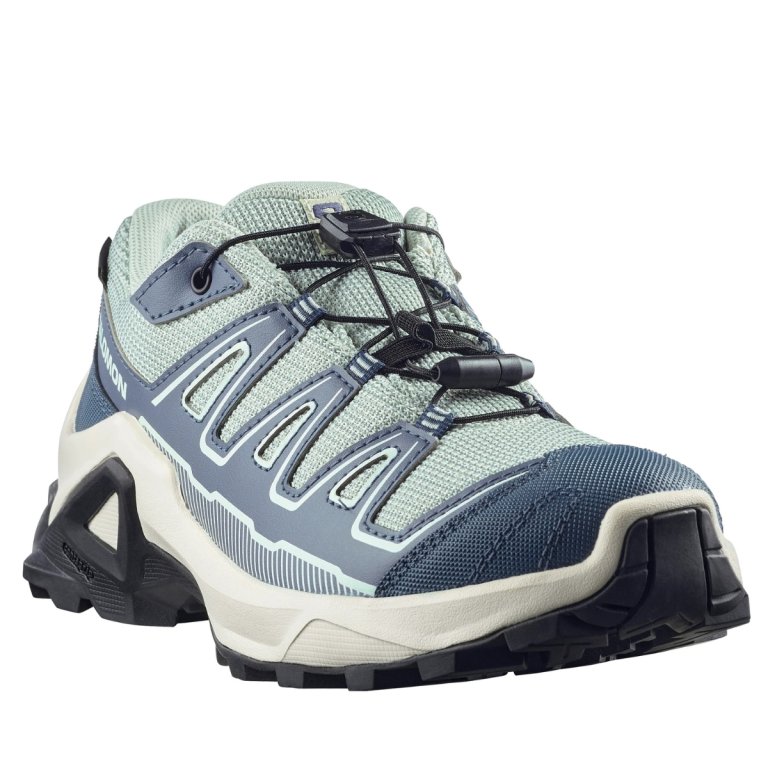 Взутття Salomon X Ultra Gtx J - синє
