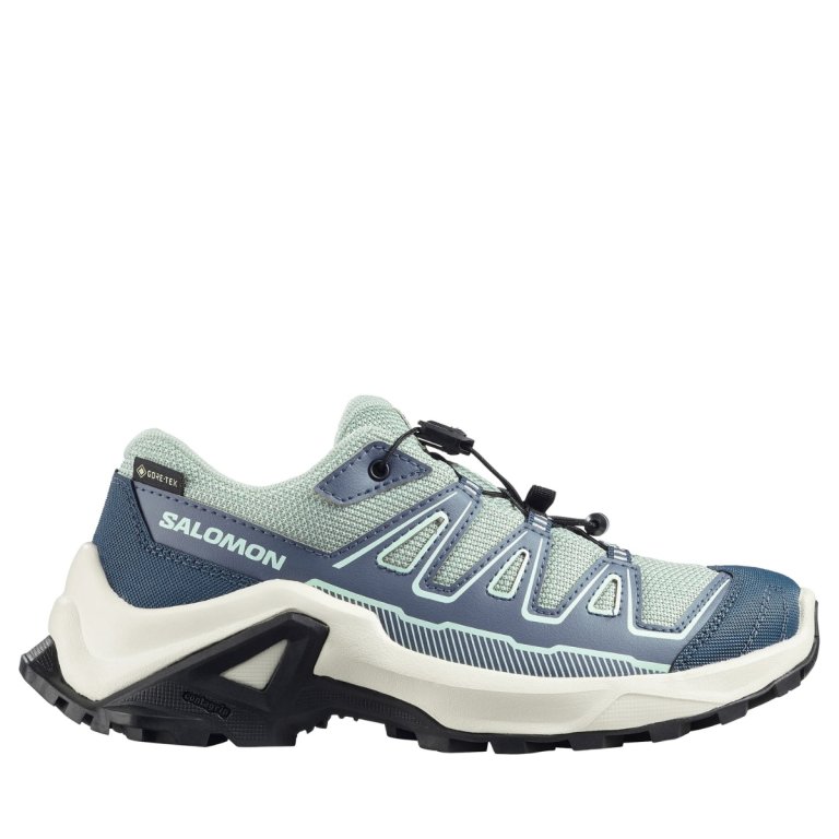 Взутття Salomon X Ultra Gtx J - синє