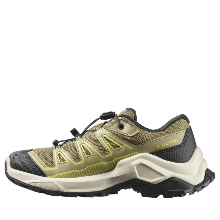 Взуття Salomon X Ultra Gtx J - зелене