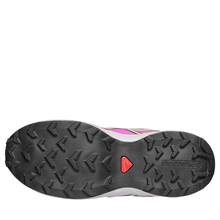 Взуття Salomon Speedcross Wp J - рожеве
