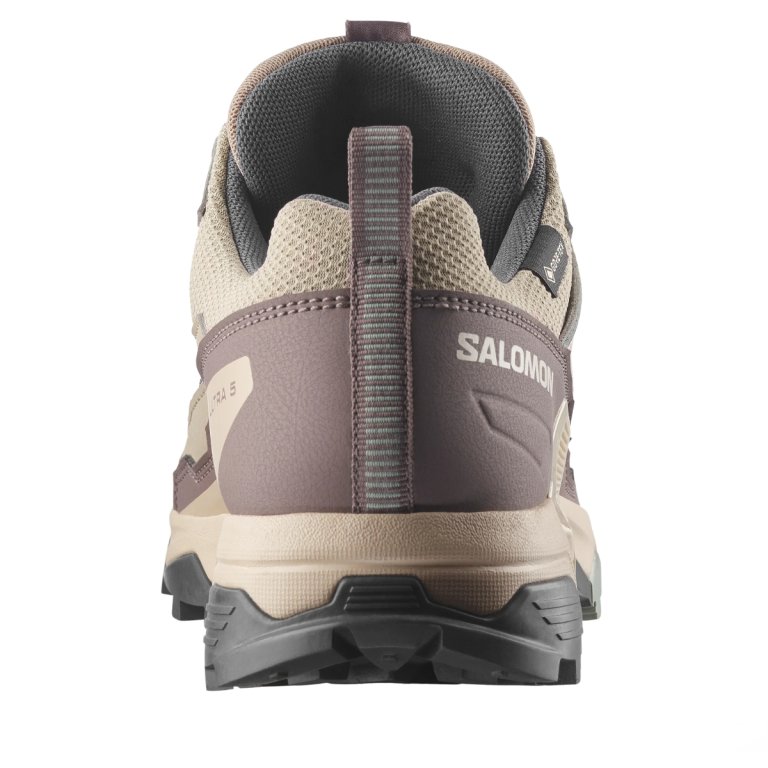 Взуття Salomon X Ultra 5 Gtx W - бежево/коричневе