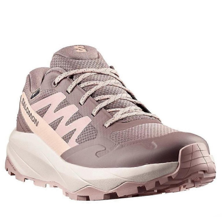 Взуття Salomon Outscape Gtx W - бежеве