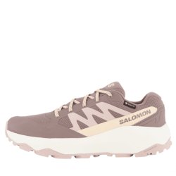 Взуття Salomon Outscape Gtx W - бежеве