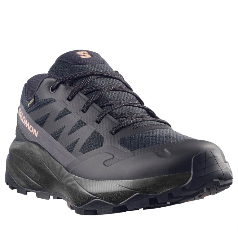 Взуття Salomon Outscape Gtx W - чорне