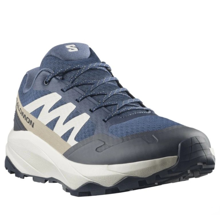 Взуття Salomon Outscape M - синє
