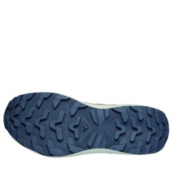 Взуття Salomon Outscape W - синє