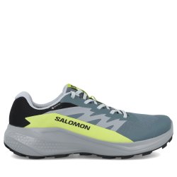 Кросівки Salomon Alphaglide GTX M - сіро/жовті