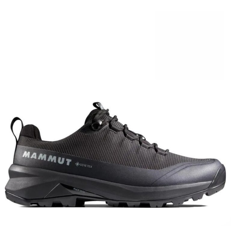 Черевики Mammut Ducan III Low Gtx M - чорні