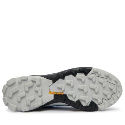 Взуття Adidas Terrex Skychaser GTX M - синє