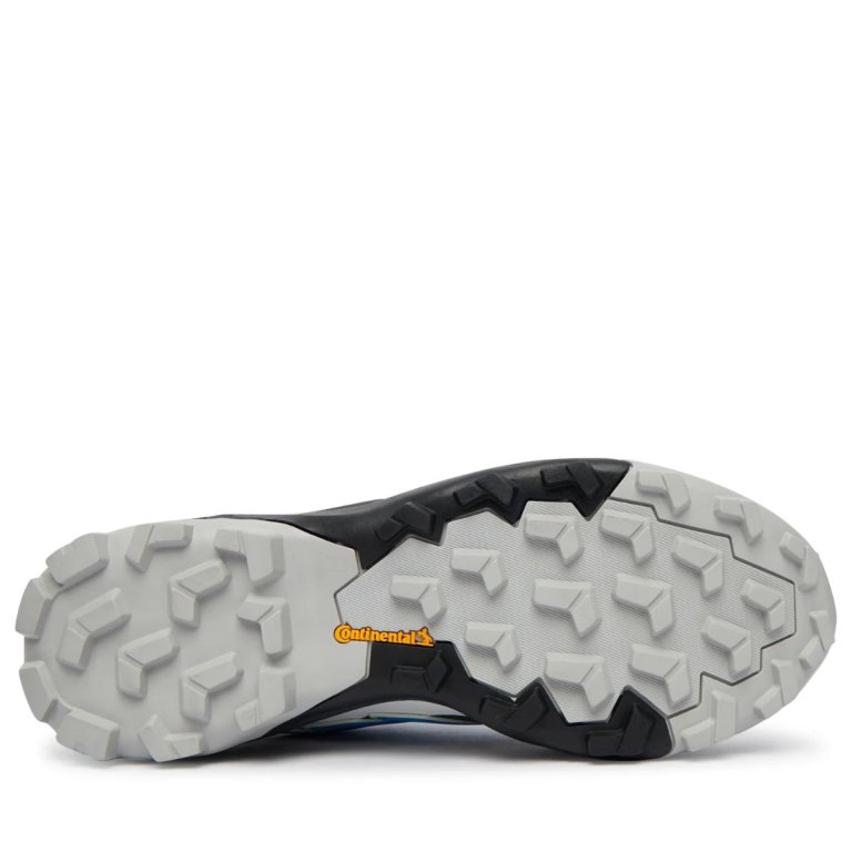 Взуття Adidas Terrex Skychaser GTX M - синє