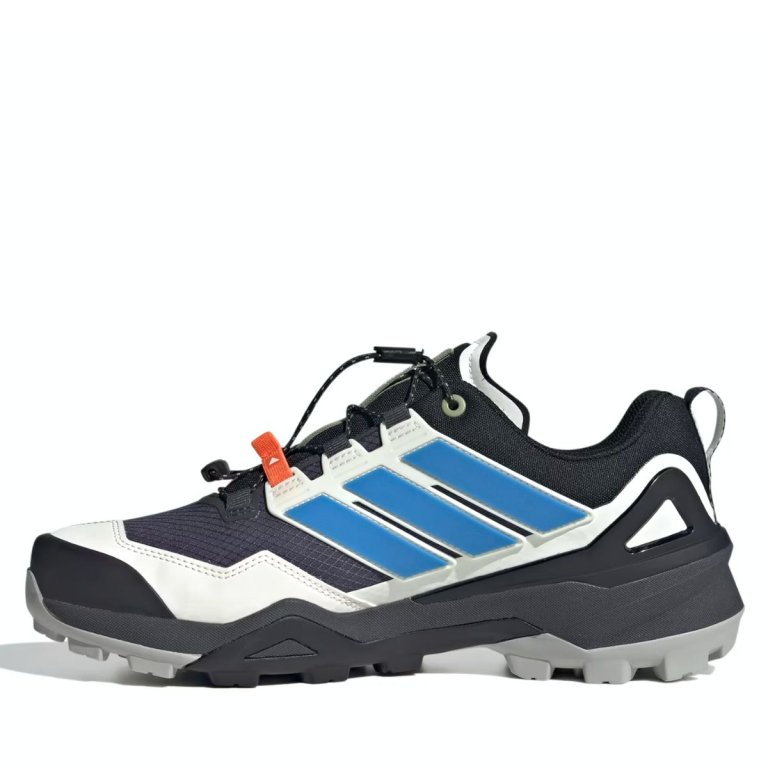 Взуття Adidas Terrex Skychaser GTX M - синє