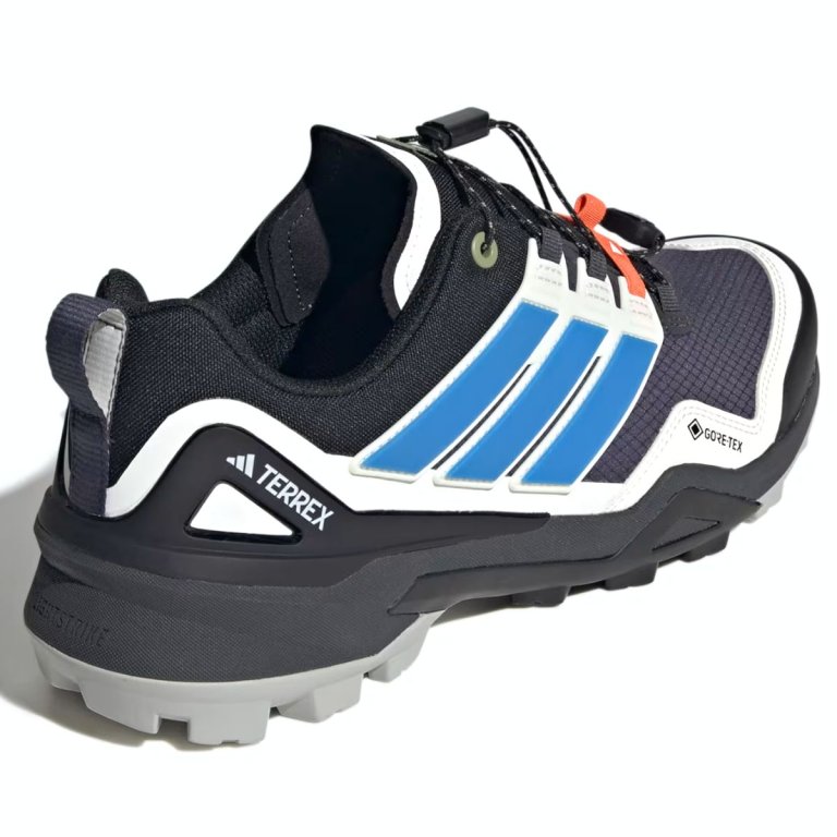 Взуття Adidas Terrex Skychaser GTX M - синє