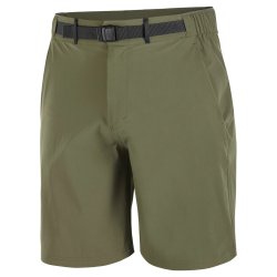 Шорти Salomon Wayfarer 2.0 Shorts M - зелені