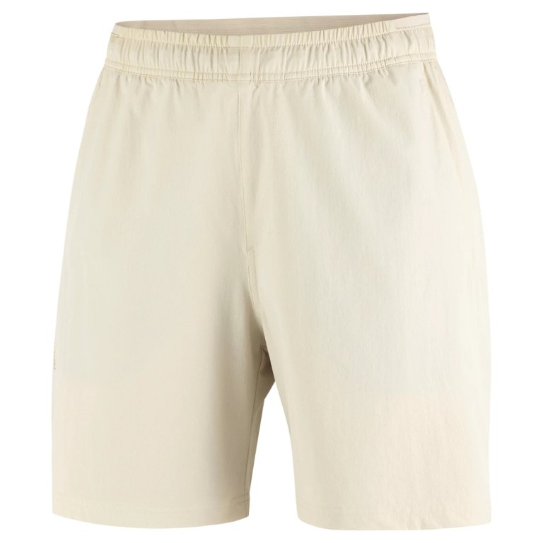 Шорти Salomon Wayfarer Ease 2.0 Shorts W - бежеві