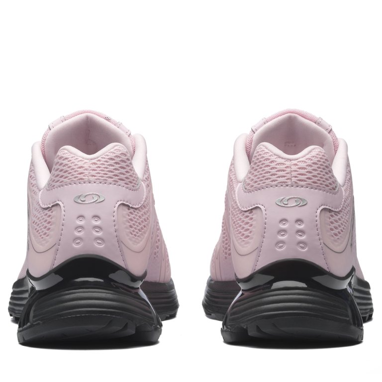 Кросівки Snkrs Salomon XT-Whisper Void - рожеві