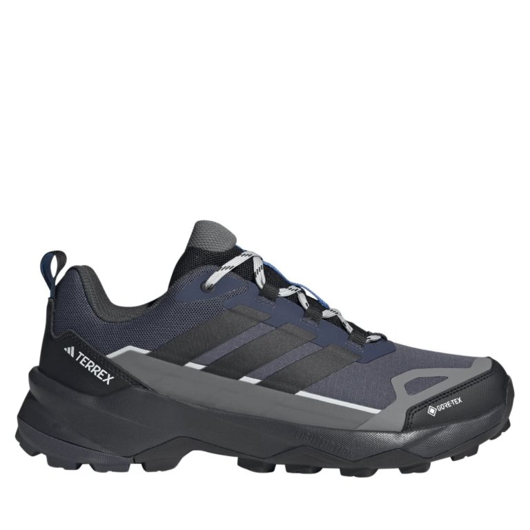 Взуття Adidas Terrex Skychaser AX5 GTX M - синьо/чорне