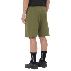 Шорти Salomon Wayfarer Ease 2.0 Shorts M - зелені