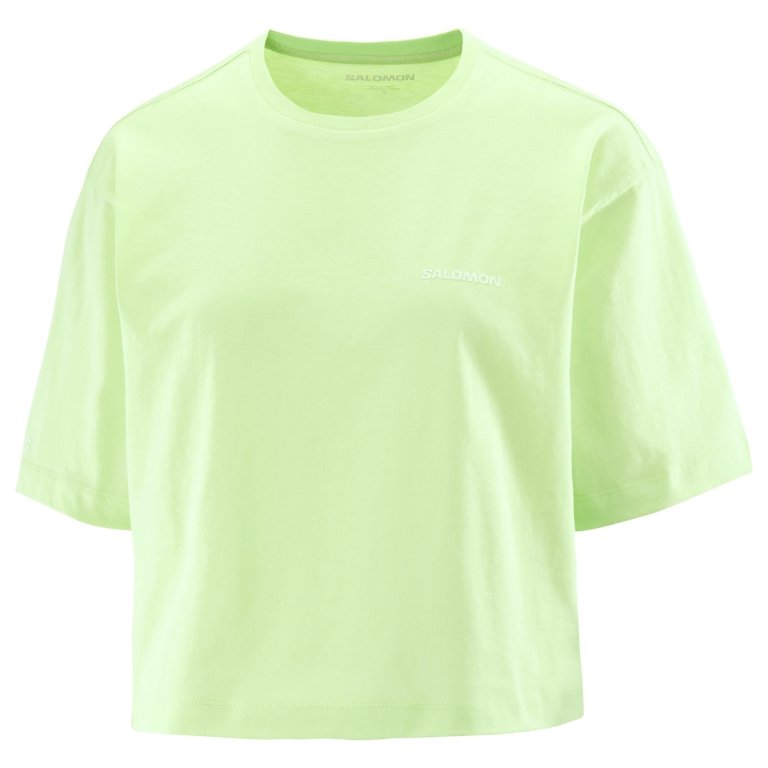 Футболка Salomon Short SS Tee Relaxed W - зелена