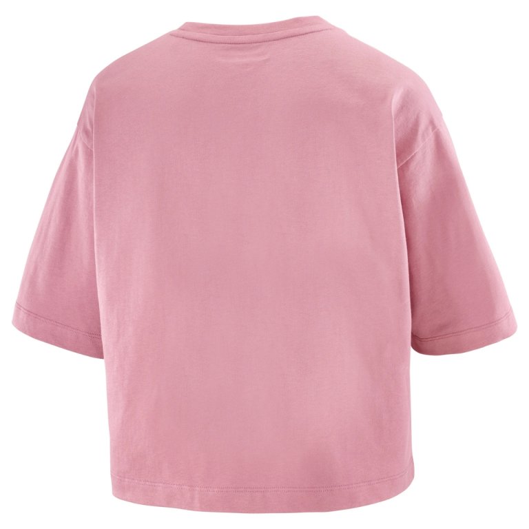 Футболка Salomon Short SS Tee Relaxed W - рожева
