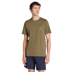 Футболка Adidas Terrex Mountain Graphic Tee M - зелена