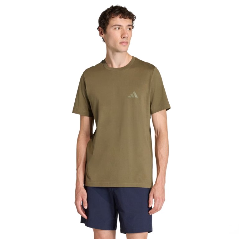 Футболка Adidas Terrex Mountain Graphic Tee M - зелена