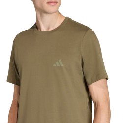 Футболка Adidas Terrex Mountain Graphic Tee M - зелена